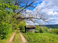 Strahlender April - gesehen in Unternesselbach (Foto: Uschi Wendel)
