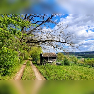 Strahlender April - gesehen in Unternesselbach (Foto: Uschi Wendel)