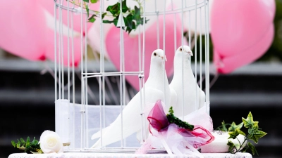 Zwei weiße Tauben... sind gar keine gute Idee. Die Tiere überleben womöglich nicht - und das will man ja für die Liebe des Paares nicht hoffen. (Foto: Rolf Vennenbernd/dpa/dpa-tmn)