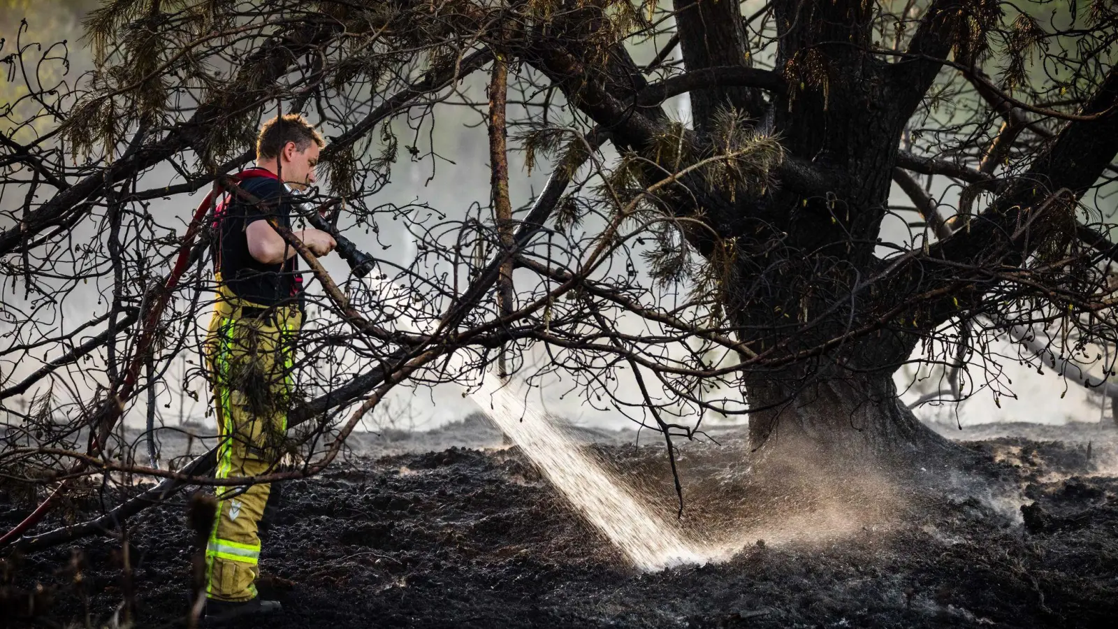 Zur Bekämpfung der Flammen baten die Niederlande nach Angaben der Behörden zum ersten Mal auch andere Länder um Hilfe. (Foto: Rob Engelaar/ANP/dpa)