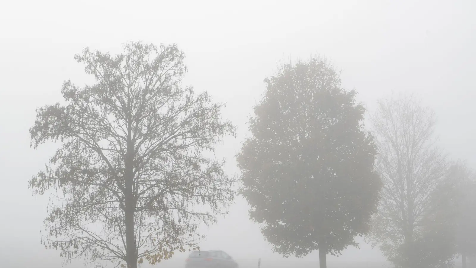 Im Donauraum erwartet der DWD dichten Nebel. In Südbayern könnte es dagegen Glatt werden. (Archivbild)  (Foto: Stefan Puchner/dpa)