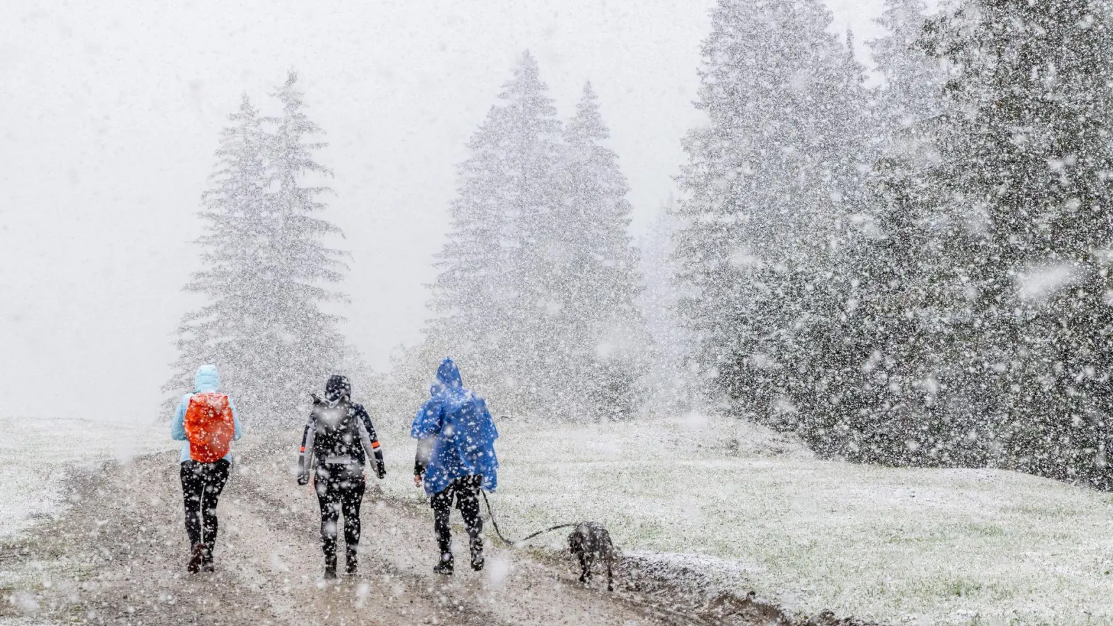 Bis zu 20 Zentimeter Neuschnee sollen am Samstag in Teilen der bayerischen Alpen fallen. (Archivbild) (Foto: Jan Eifert/dpa)