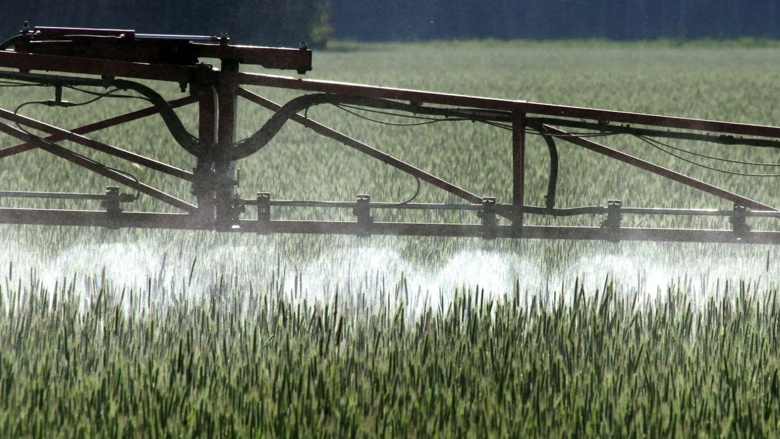 Der Einsatz von Chemikalien ist in der Landwirtschaft schon lange umstritten. Er schadet vielen Tierarten und ist auch für Menschen gesundheitsschädlich. (Symbolbild) (Foto: Peter Förster/dpa)