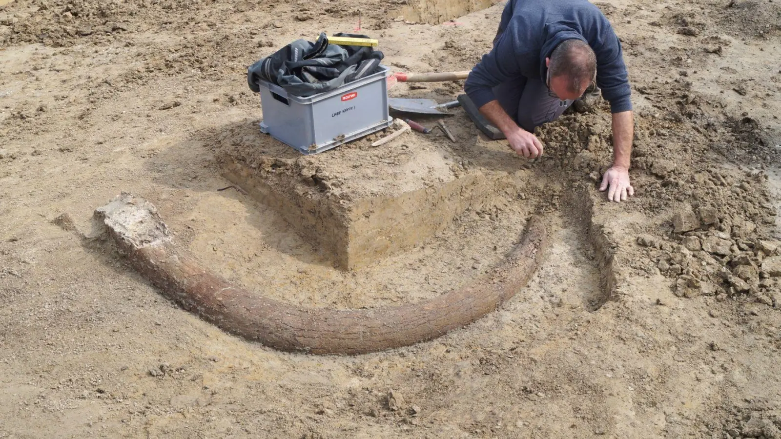 Das in Bayern entdeckte Mammut gibt Aufschluss auch über die Lebensweise der Steinzeitmenschen. (Handout)  (Foto: --/Bayerisches Landesamt für Denkmalpflege /dpa)