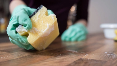 Feuchte Schwämme sollte man regelmäßig austauschen oder besser gleich dünne Putzlappen oder Küchenpapier verwenden, wenn etwas verschüttet wurde. (Foto: Franziska Gabbert/dpa-tmn)