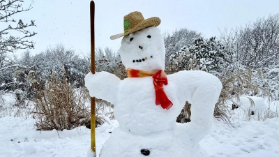 In Neustadt wacht dieser 1,60 Meter hohe Schneemann über die Lage. (Foto: Barbara Nitsche)