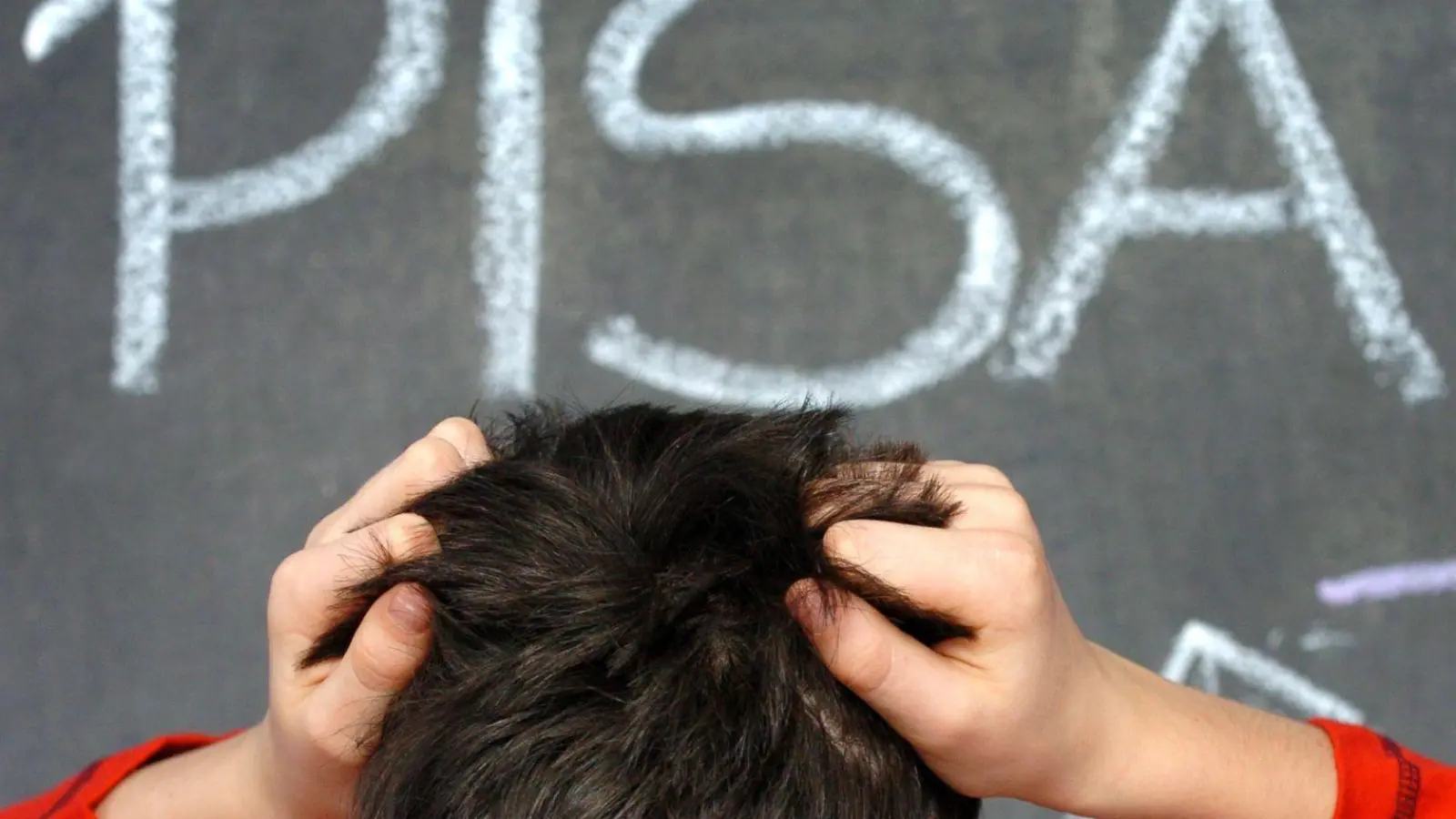Alle drei Jahre nehmen auch deutsche Schülerinnen und Schüler an der internationalen Vergleichsstudie Pisa teil. (Symbolbild) (Foto: picture alliance / Jens Büttner/dpa)