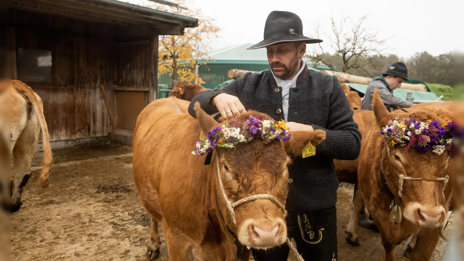 Hübsch rausgeputzt: Zum Almabtrieb durfte der bunte Kopfschmuck nicht fehlen. (Foto: Evi Lemberger)