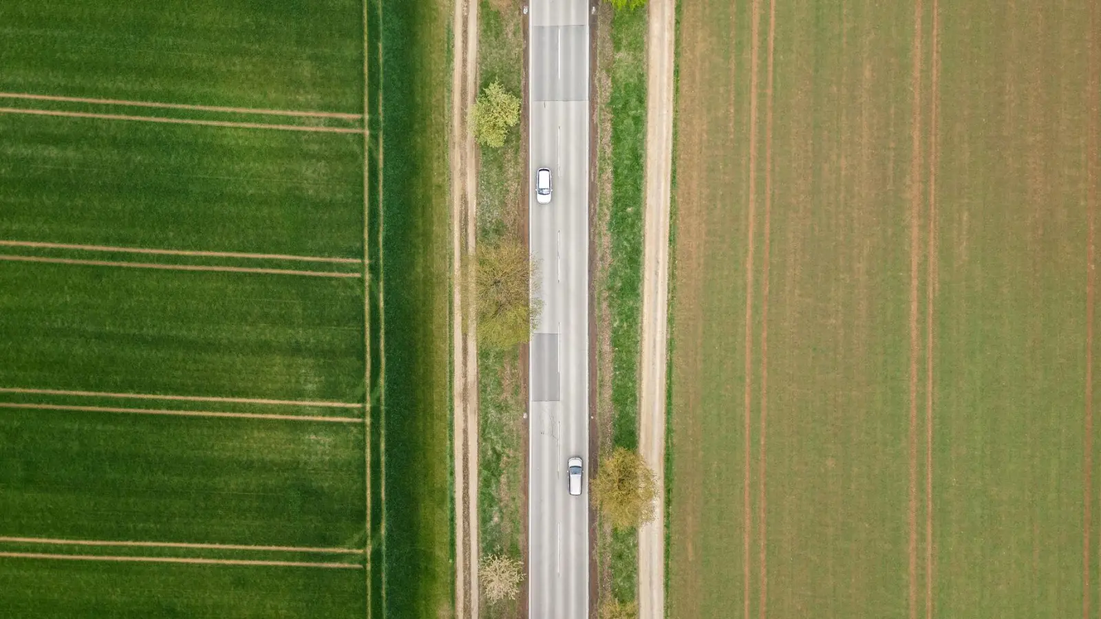 Ganzheitlich betrachtet: Bei der Suche nach mehr Reichweite für E-Autos geht es nicht immer und ausschließlich um größere Akkus. (Foto: Silas Stein/dpa)