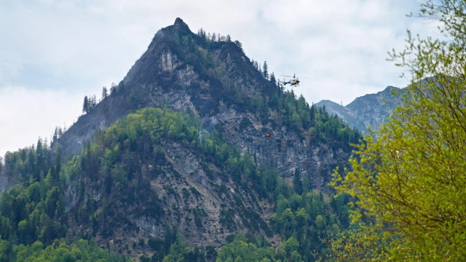 Nach dem Waldbrand am Saurüsselkopf muss die Feuerwehr nochmals ausrücken. (Archivbild) (Foto: Uwe Lein/dpa)