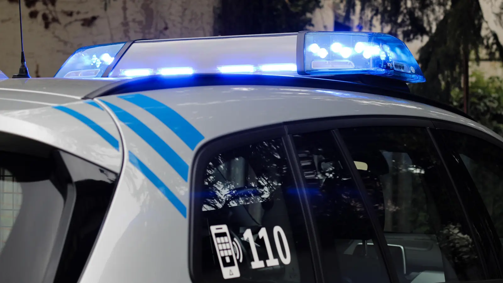 Unmittelbar nachdem eine Katze angefahren wurde, wurde auch die Polizei verständigt. (Foto: Constantin Prosch)