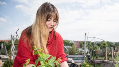 Wenig Platz, viel Garten: Im Hochbeet lässt sich auch auf kleinen Flächen Gemüse anbauen. (Foto: Robert Günther/dpa-tmn)