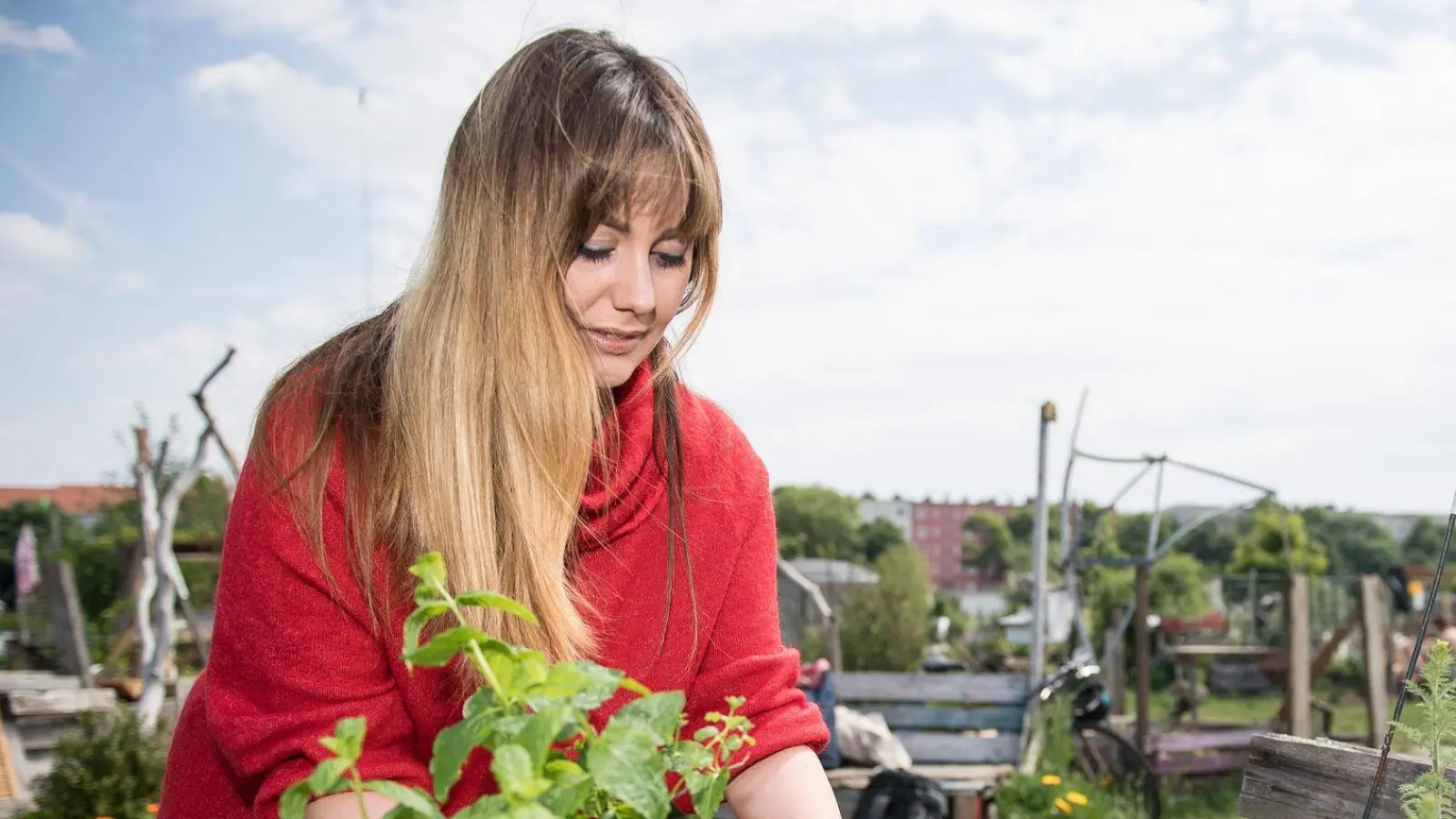 Wenig Platz, viel Garten: Im Hochbeet lässt sich auch auf kleinen Flächen Gemüse anbauen. (Foto: Robert Günther/dpa-tmn)