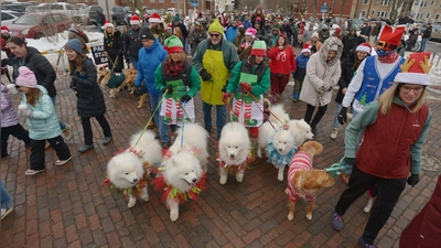 Hunde und ihre Besitzer ziehen während der jährlichen Reindog Parade durch die Innenstadt. (Foto: DON CAMPBELL/The Herald-Palladium/AP/dpa)