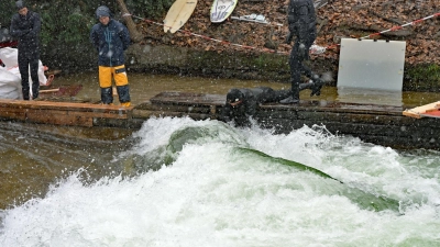 Ein Hauch einer grünen Welle war bereits beim Vorversuch zu sehen. (Archivbild) (Foto: Malin Wunderlich/dpa)