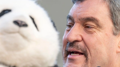 Noch hat Söder (r) nur einen Plüschbären in seinem Büro, doch spätestens 2028 soll es echte Tiere in München geben. (Foto: Peter Kneffel/dpa)