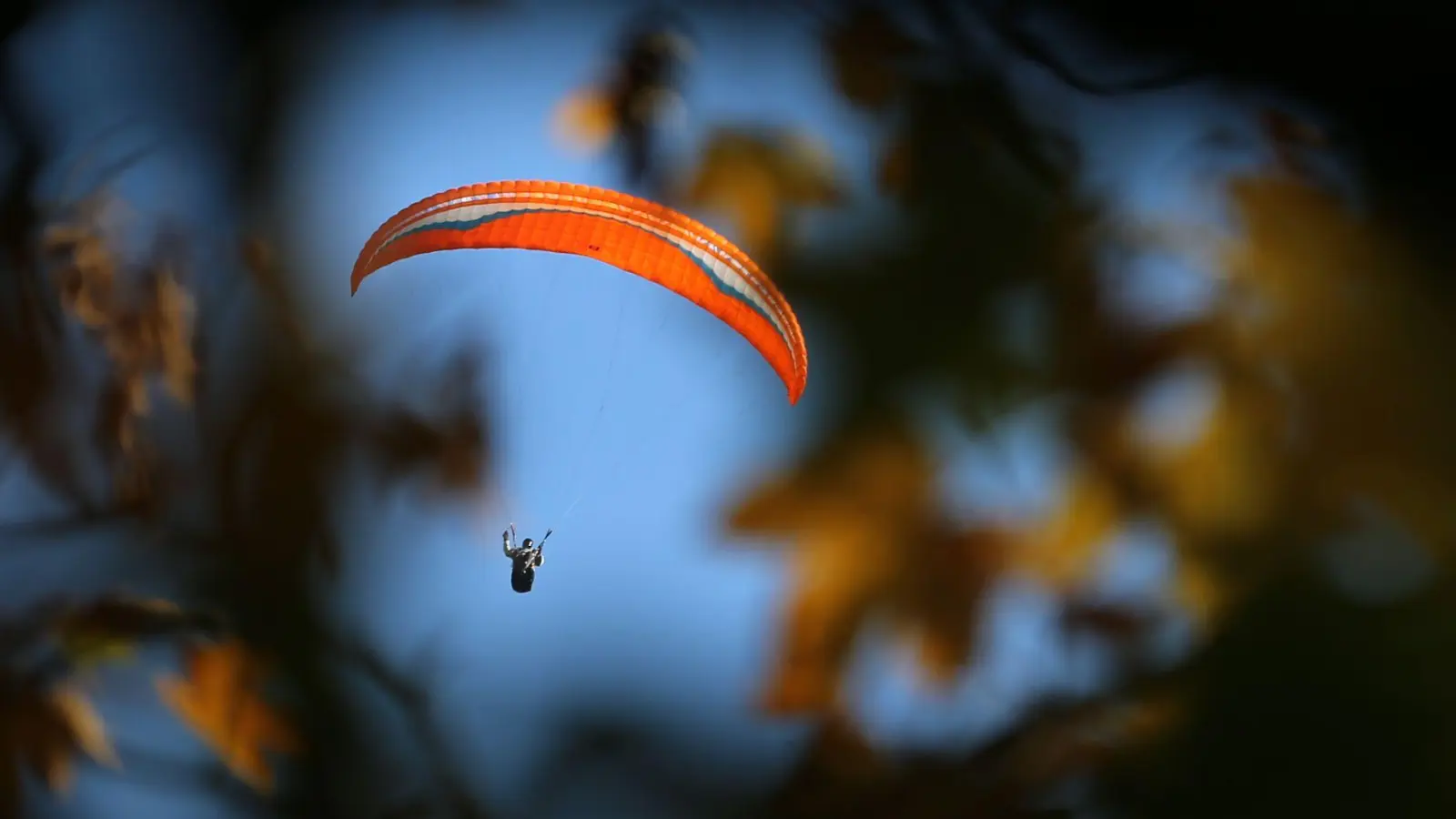 Ein Gleitschirmflieger verfing sich in Oberbayern in einem Baum. (Symbolbild) (Foto: Karl-Josef Hildenbrand/dpa)