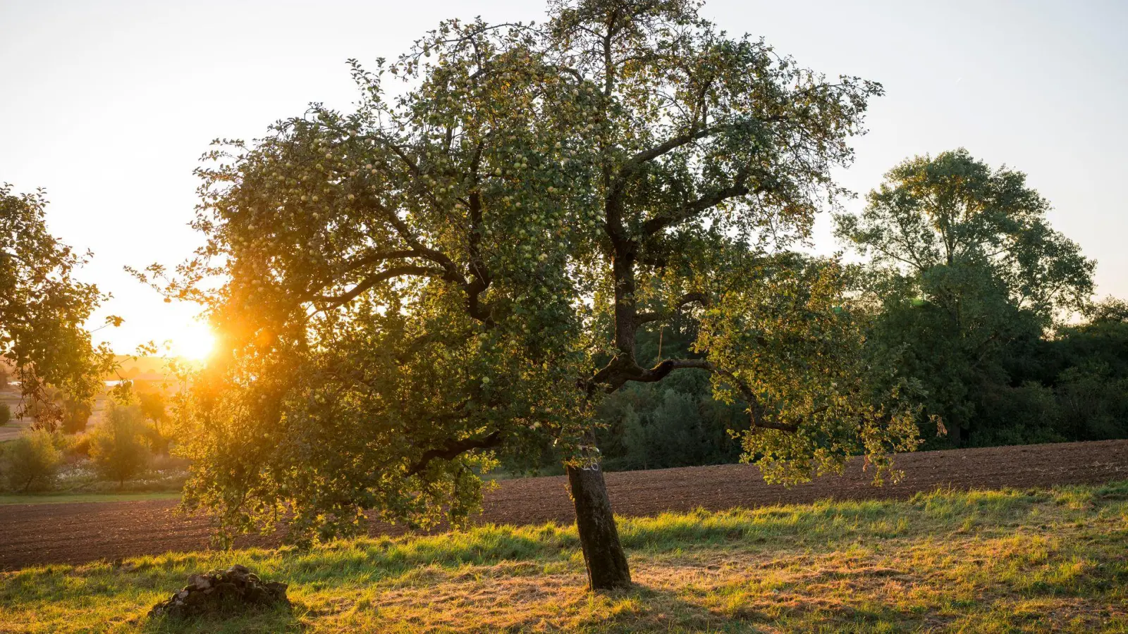 Den Freistaat erwarten zum Wochenende für Mitte September ungewöhnlich hohe Temperaturen. (Symbolbild) (Foto: Daniel Vogl/dpa)
