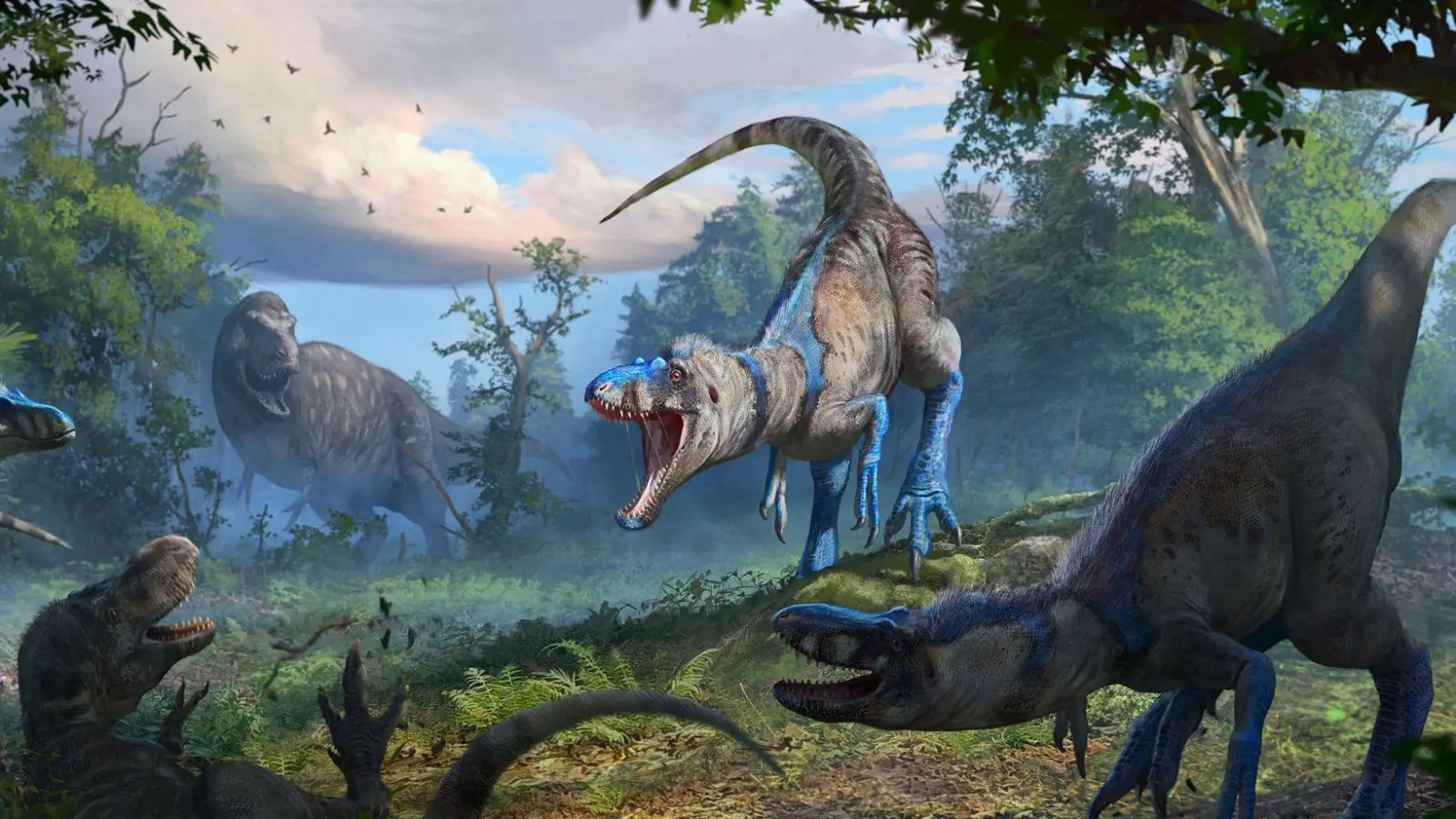 Nanotyrannus war wohl ein schlankerer, schnellerer und wendigerer Jäger als der T-Rex. (Foto: Anthony Hutchings/Nature/dpa)