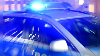 Ein 65-Jähriger ist in Zeil am Main von einem Hundebesitzer bewusstlos geschlagen worden. (Symbolbild) (Foto: Carsten Rehder/dpa)