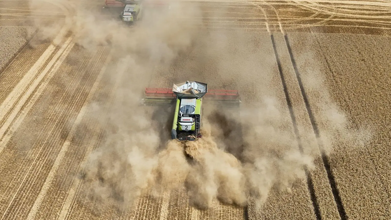 Hitze und Trockenheit schmälern die Ernte in Deutschland. (Symbolbild)   (Foto: Peter Gercke/dpa)