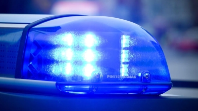 Die Polizei übergab die Jugendlichen ihren Erziehungsberechtigten. (Symbolbild: Patrick Pleul/dpa)