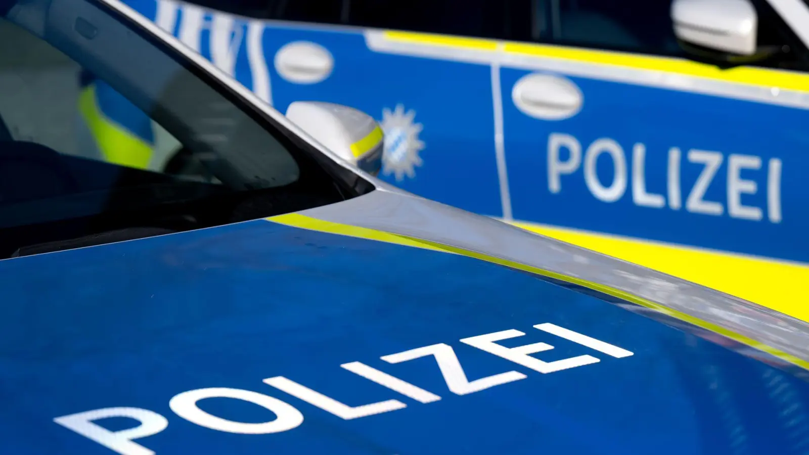 Die Bergungsarbeiten verursachten auf der A9 gut zwei Stunden lang Verzögerungen. (Symbolbild) (Foto: Sven Hoppe/dpa)