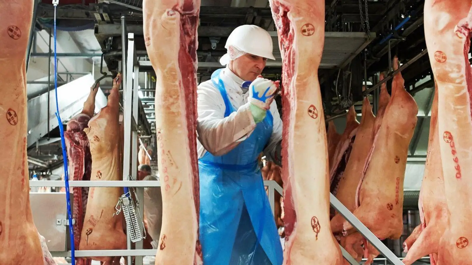 Ein Mitarbeiter des Fleischunternehmens Tönnies arbeitet im Schlachthaus in Rheda-Wiedenbrück. (Foto: Bernd Thissen/dpa)