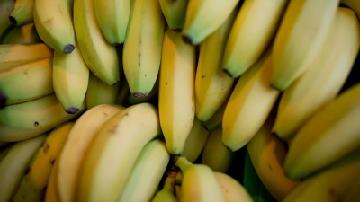 Nach einer Beschwerde beim Discounter Aldi haben Bananenarbeiter in Costa Rica Entschädigungszahlungen erhalten. (Symbolbild)  (Foto: Daniel Karmann/dpa)