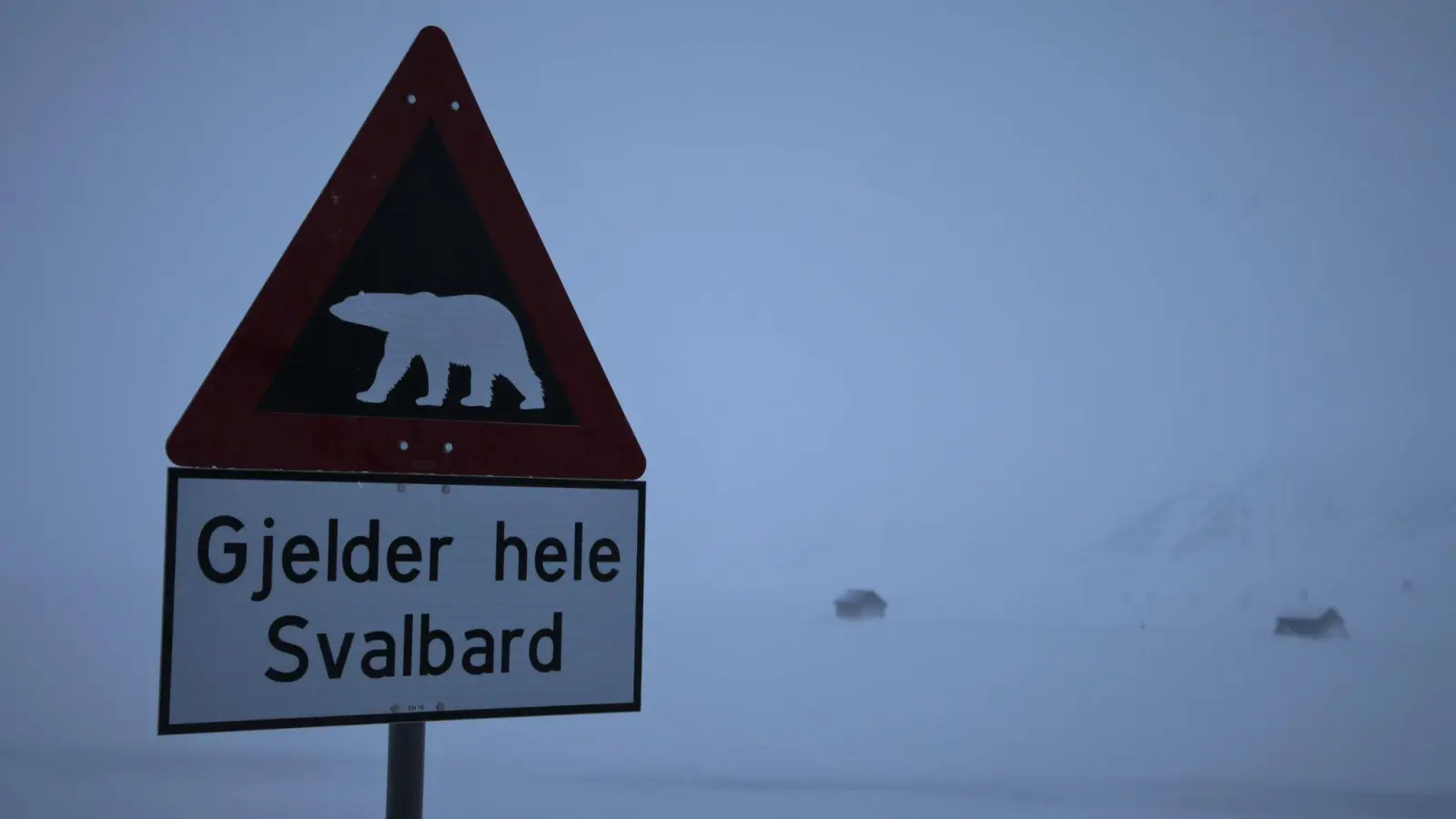 Zum ersten Mal ist in Europa bei einem Eisbären die Vogelgrippe entdeckt worden - und zwar auf der norwegischen Inselgruppe Spitzbergen. (Symbolbild) (Foto: Steffen Trumpf/dpa)