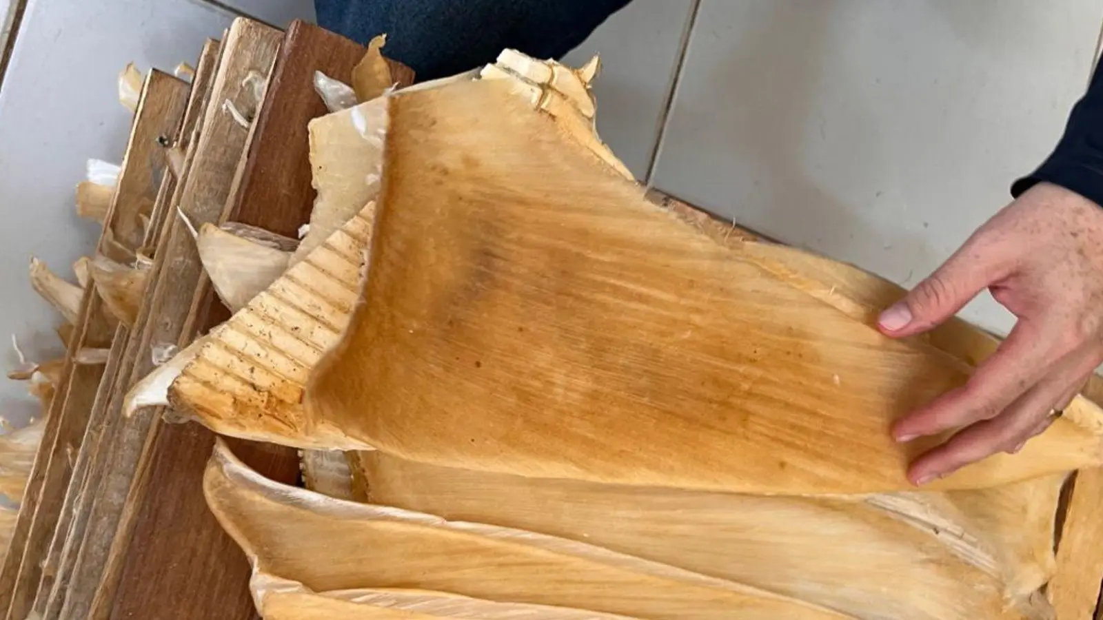 Die Polizei hat mehr als 1,5 Tonnen Haiflossen beschlagnahmt. (Foto: ---/Policia Federal Brasil/dpa)