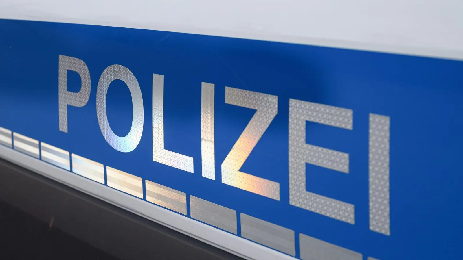 Eine Suchaktion nach dem siebten Pferd blieb zunächst ohne Erfolg. (Symbolbild: Daniel Vogl/dpa)
