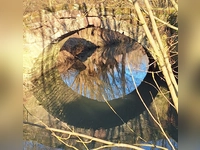 Historische Steinbrücke – gesehen Gackenmühle bei Illesheim. (Foto: Birgit Schüsterl)