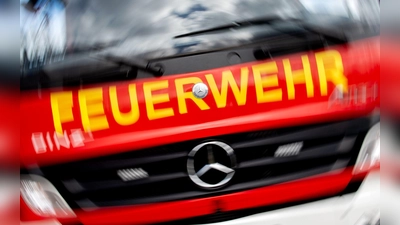 Waldbrand bei Gemünden: Zwei Jugendliche stehen im Verdacht, das Feuer fahrlässig verursacht zu haben. (Symbolbild) (Foto: Hauke-Christian Dittrich/dpa)