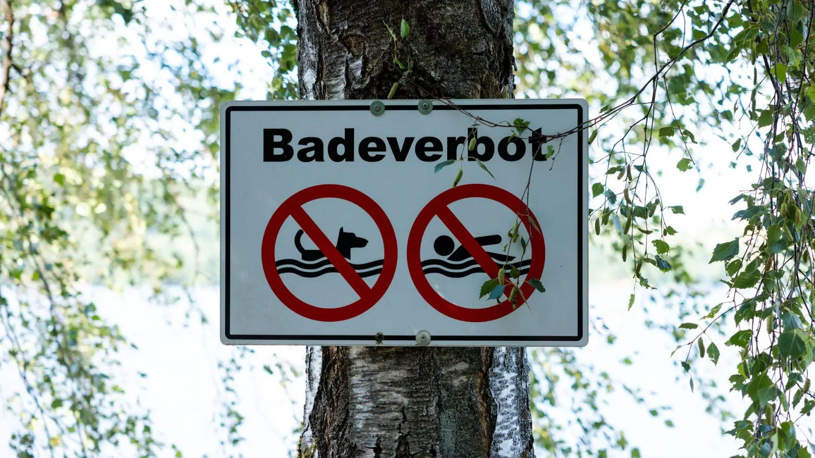 Das Badeverbot soll aufgehoben werden. (Symbolbild) (Foto: Laszlo Pinter/dpa)