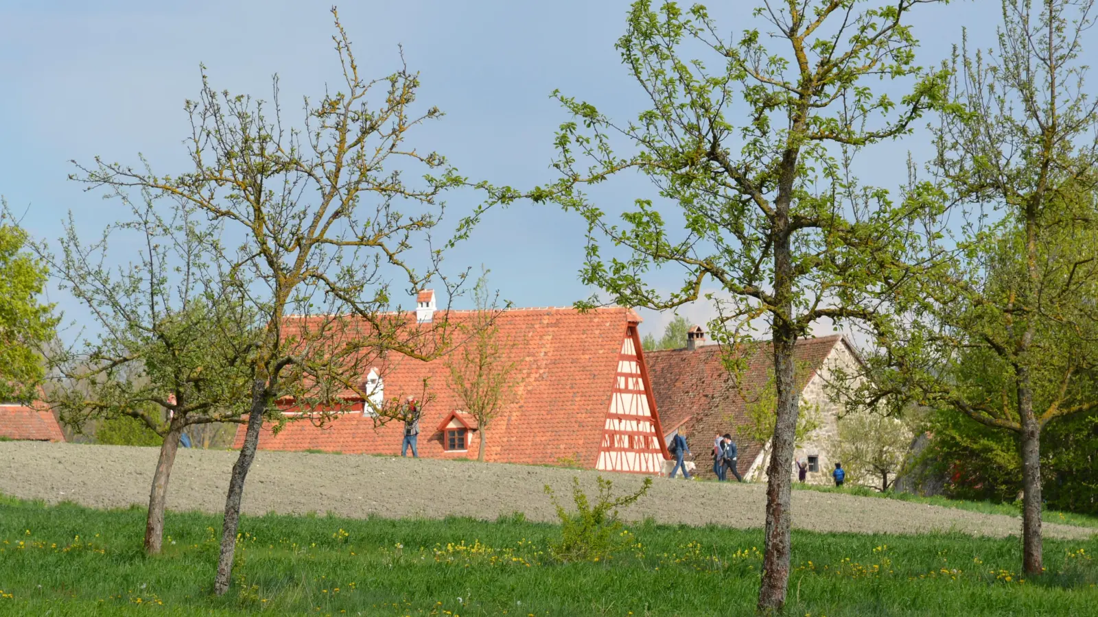 Jahrhunderte alte Häuser aus der Region wurden in Bad Windsheim wieder aufgebaut. (Foto: Manfred Blendinger)