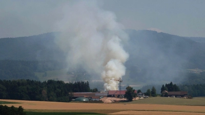 Die Rauchsäule des Brandes war weithin sichtbar.  (Foto: Th. Krenn/Zema Medien/dpa)
