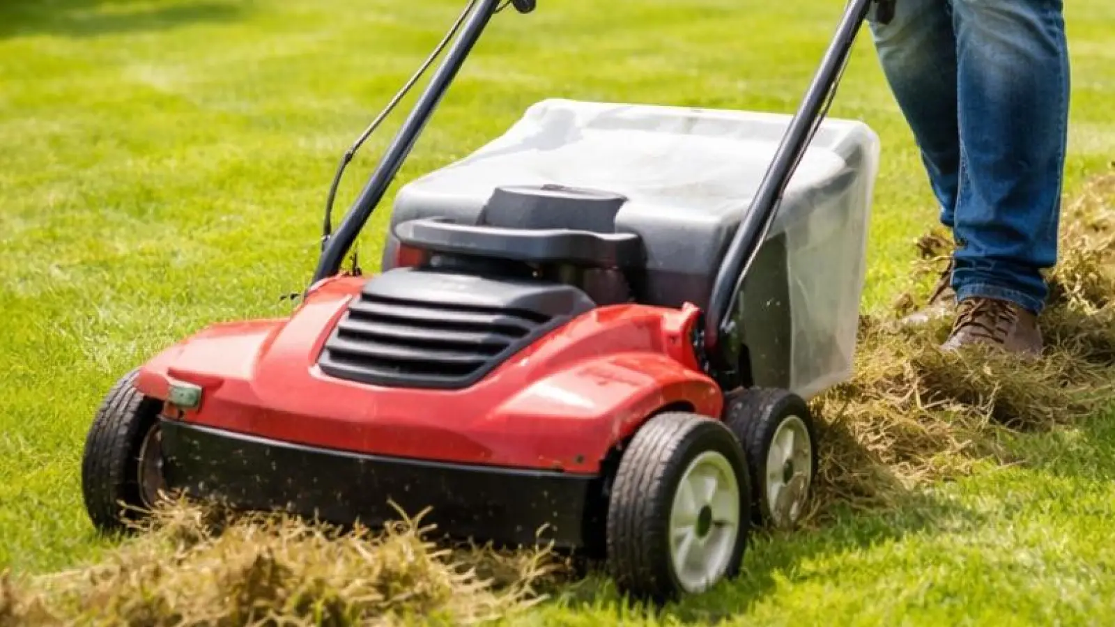 Guter Zeitpunkt: Im Frühjahr sollte der Rasen gut gepflegt werden, etwa mit einem guten Vertikutierer aus dem örtlichen Fachhandel. (Foto: Pixabay)