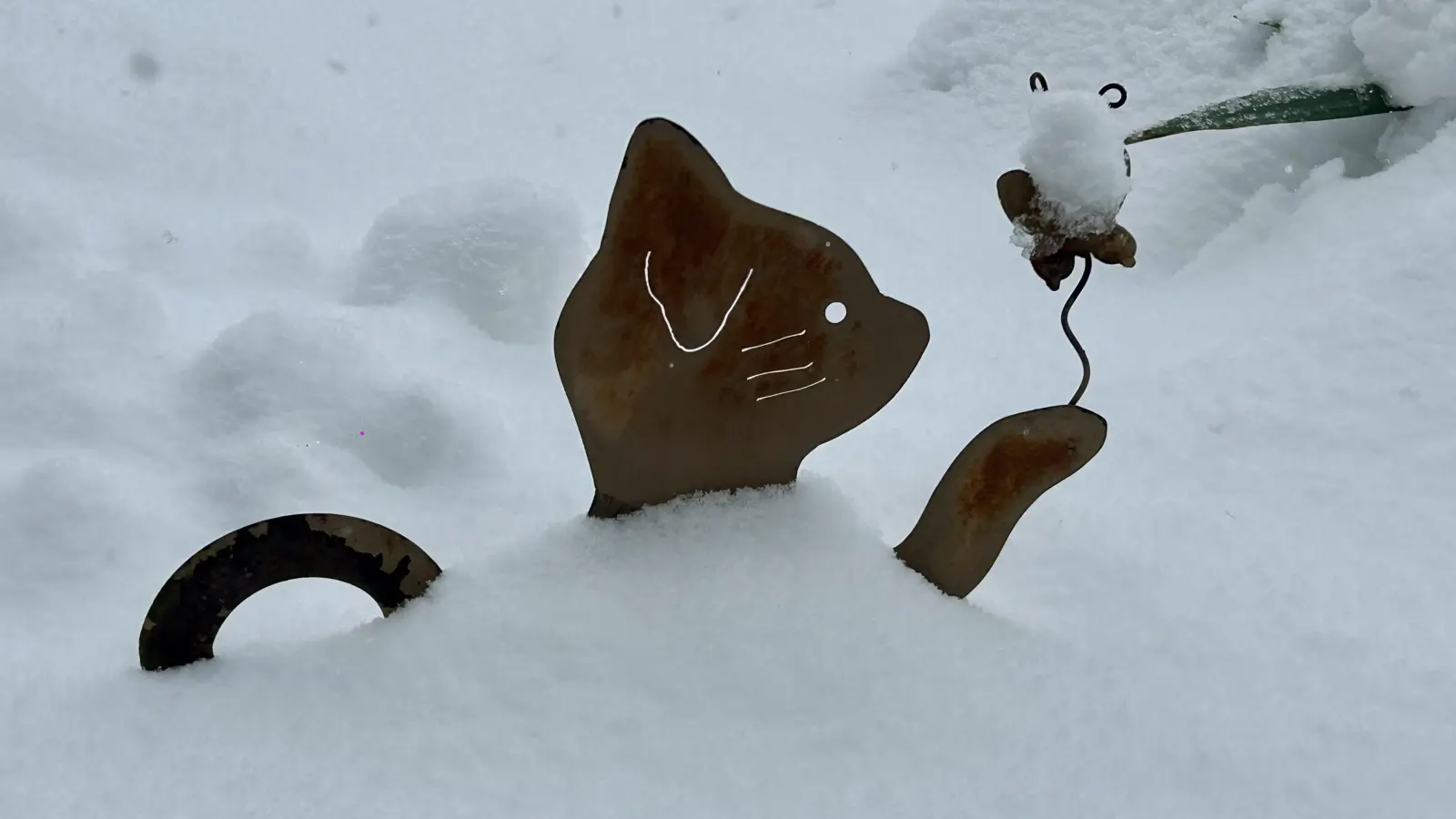 Kalte Pfötchen? Nein, Danke. (Foto: Barbara Nitsche)