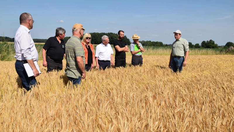 Wegen des Wassermangels ist die Reife der Gerste weit fortgeschritten, wie bei einer Vorschau auf die Ernte Markus Förster, Dieter Proff, Tobias Fischer, Hans Henninger, Christine Reitelshöfer, Heinz Förster, Fritz Hein und Bernd Nagel (von rechts) feststellten. (Foto: Fritz Arnold)