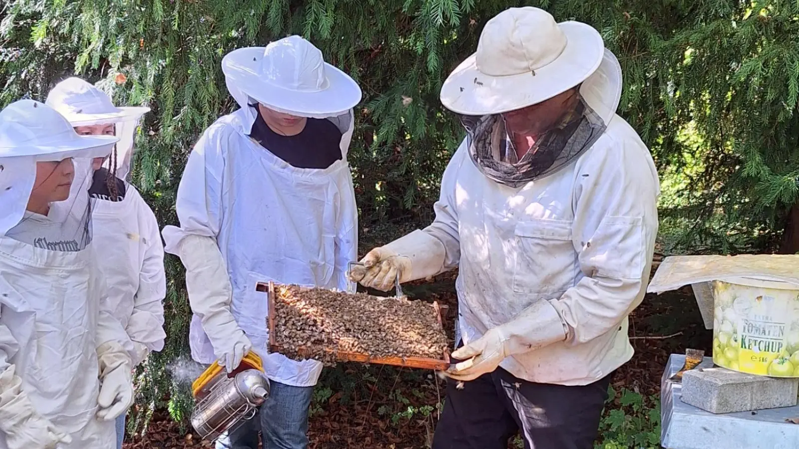 Die Schülerinnen und Schüler der Edith-Stein-Realschule kontrollieren zusammen mit Hausmeister und Imker Herbert Feist die Bienenstöcke. (Foto: Irma Bogenreuther)
