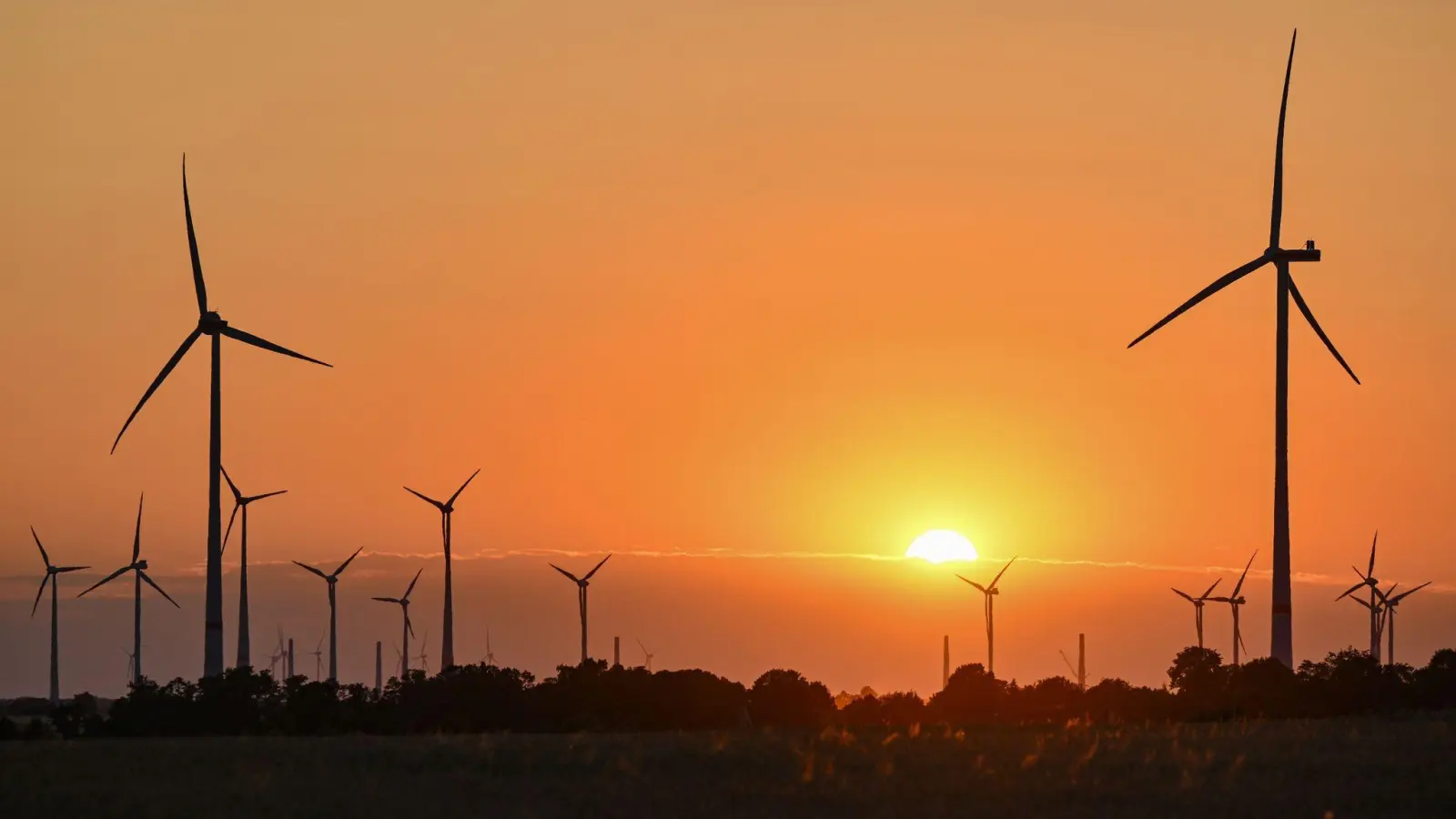 Ein Windenergiepark im Sonnenuntergang. (Foto: Patrick Pleul/dpa)