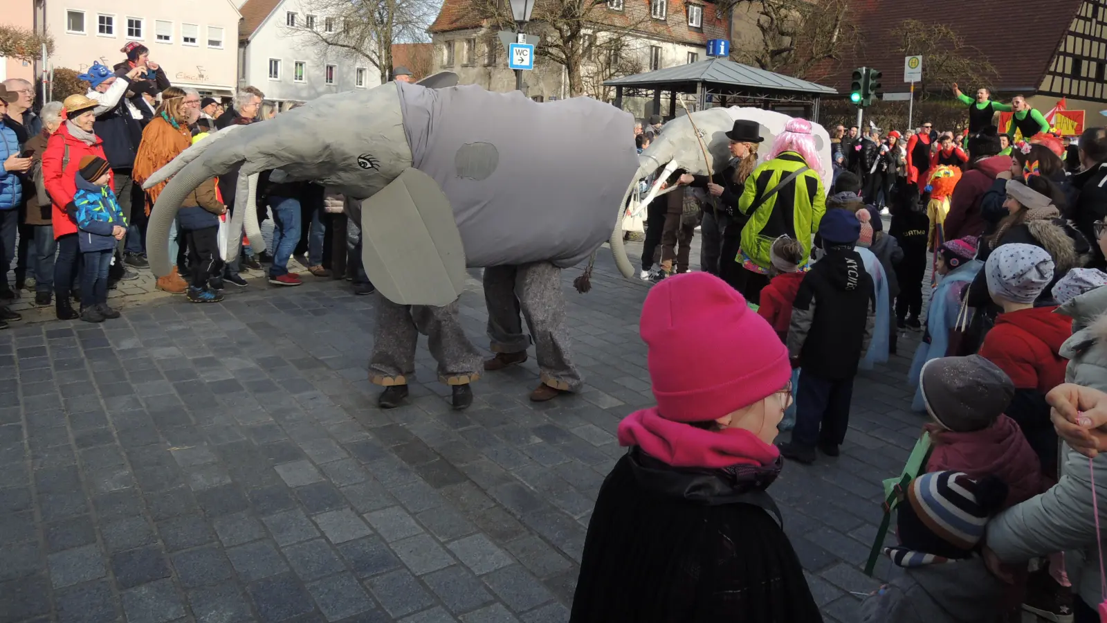 Elefanten auf dem Marktplatz: Auch große Tiere durften beim Zirkus des SV Leibelbach-Heuberg mitmarschieren. (Foto: Peter Zumach)