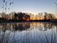 Idyllische Abendstimmung - gesehen in Neidhardswinden<br><br> (Foto: Uwe Keil)