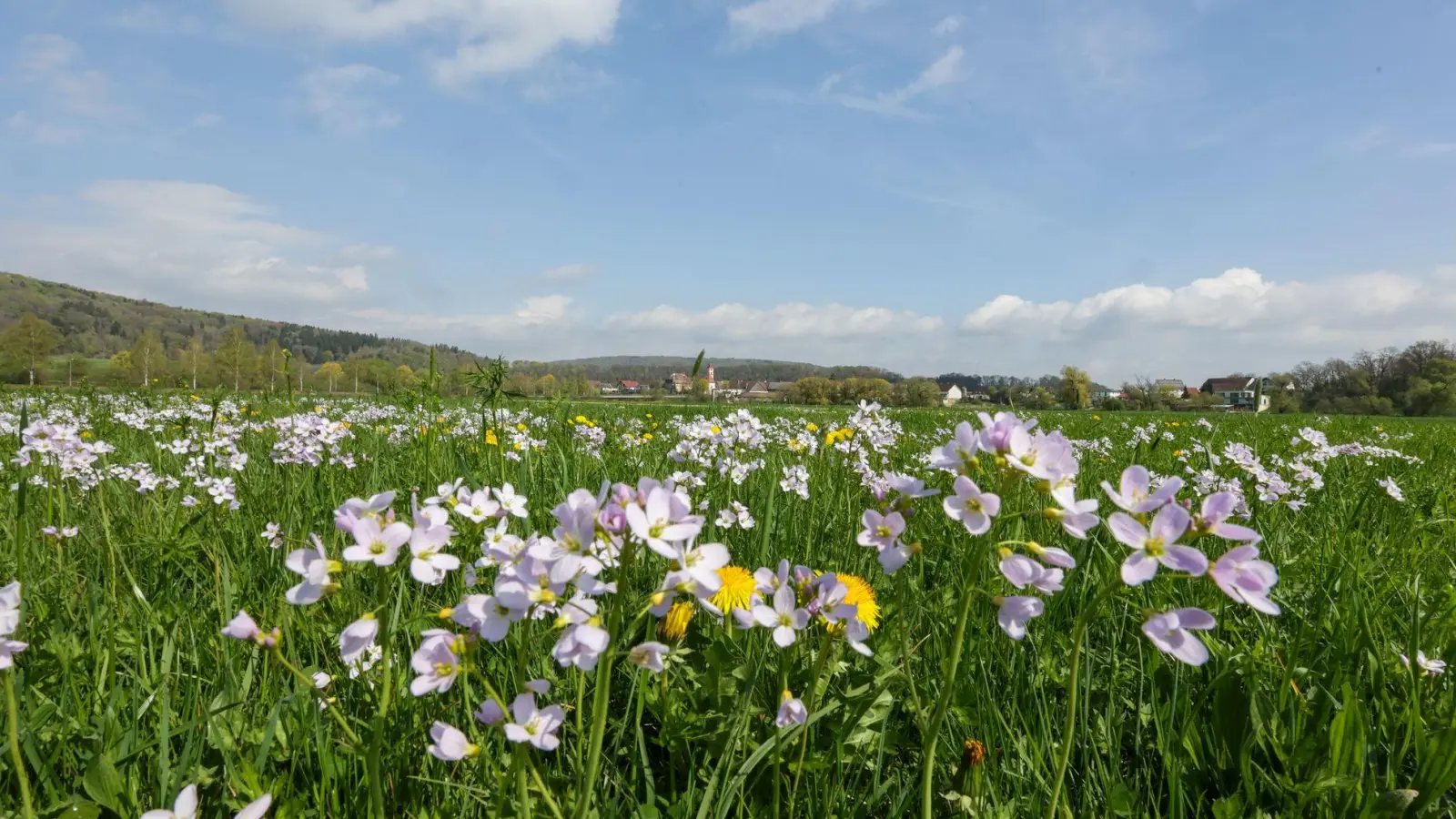 Tagsüber soll es frühlingshaft mild werden - nachts dagegen frostig. (Foto: Thomas Warnack/dpa)