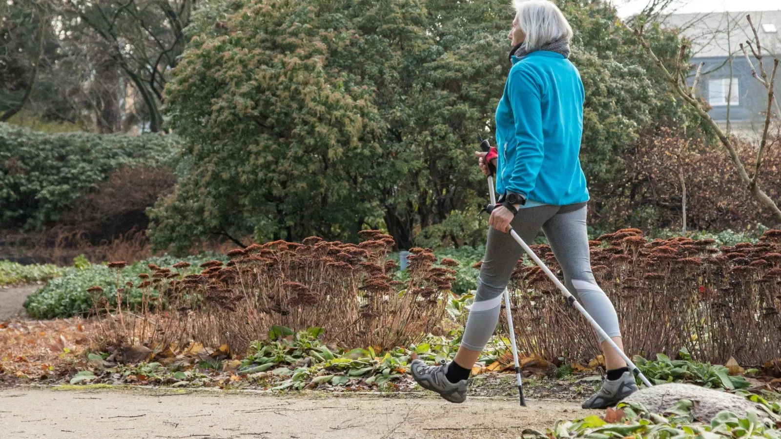 Frische Luft, Tageslicht, Bewegung: Nordic Walking setzt dem Herbstblues einiges entgegen. (Foto: Christin Klose/dpa-tmn)