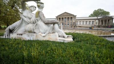 Forscher des Naturkundemuseums haben sich mit dem Sexleben von Eintagsgfliegen beschäftigt (Archivbild) (Foto: Marijan Murat/dpa)