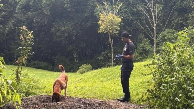Die Ermittler entdeckten die Leichen mit Hilfe eines Spürhunds. (Foto: ---/OIJ Costa Rica/dpa)