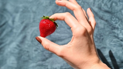 KI-generierte Fruchtvideos tauchen momentan bei Social Media auf. (Symbolbild) (Foto: Katharina Kausche/dpa)