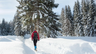 Auf dem Seefelder Hochplateau geht es für Wanderer auf fünf Etappen durch die verschneite Tiroler Landschaft. (Foto: Region Seefeld/dpa-tmn)